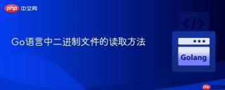 Go语言中二进制文件的读取方法