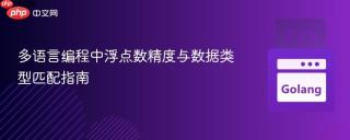 多语言编程中浮点数精度与数据类型匹配指南