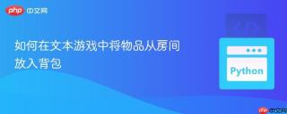 如何在文本游戏中将物品从房间放入背包