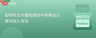 如何在文本冒险游戏中将物品从房间放入背包