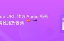 使用 Blob URL 作为 Audio 标签的 src 属性播放音频