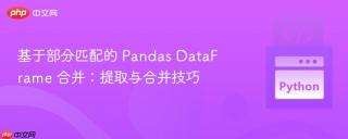 基于部分匹配的 Pandas DataFrame 合并：提取与合并技巧