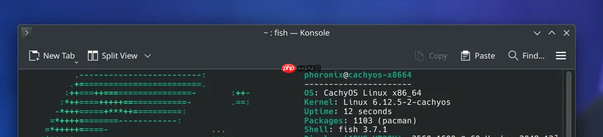 Fish Shell 4.1 正式发布，Rust 重写的“老牌”命令行 Shell