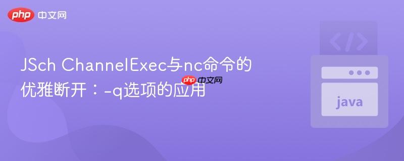 JSch ChannelExec与nc命令的优雅断开：-q选项的应用
