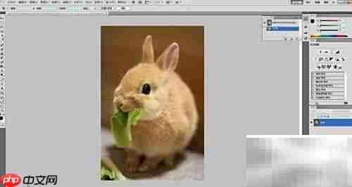 3D红蓝图制作技巧