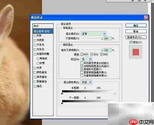 3D红蓝图制作技巧
