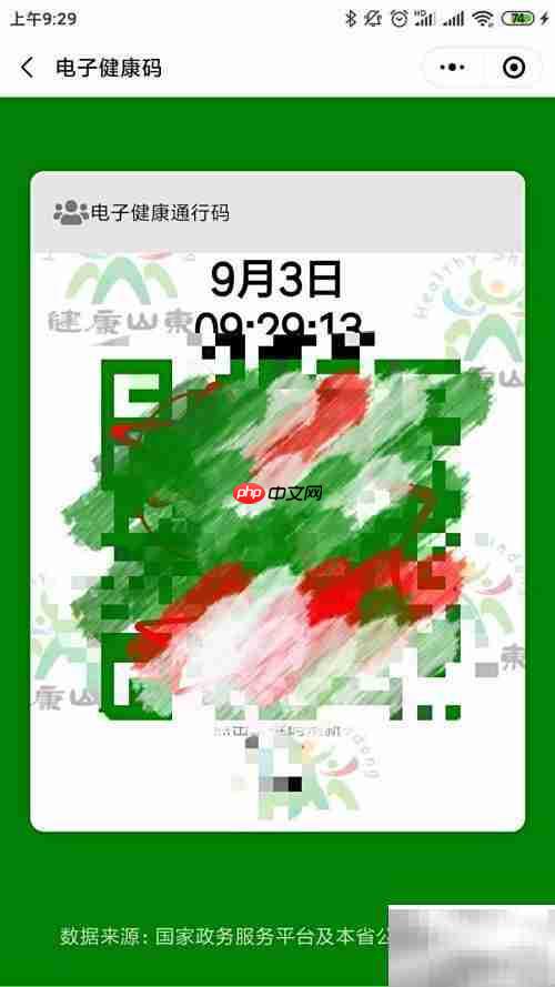 个人电子健康证申请指南