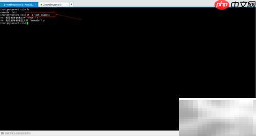 rm命令使用入门