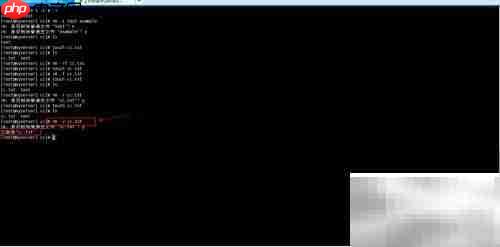 rm命令使用入门