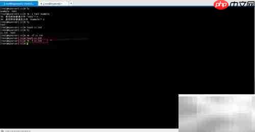 rm命令使用入门