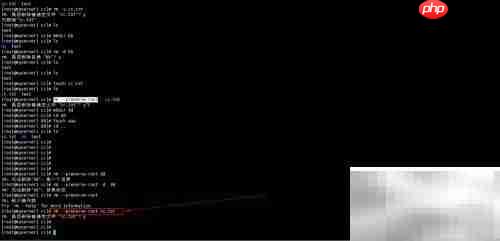 rm命令使用入门