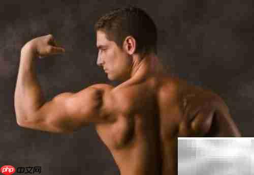 BMI与WHR计算方法解析