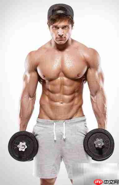 BMI与WHR计算方法解析