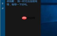 Win10系统小娜连不上网络怎么办？