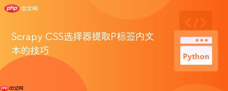 Scrapy CSS选择器提取P标签内文本的技巧