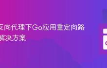 Nginx反向代理下Go应用重定向路径错误解决方案