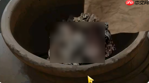 纸祭攻略第四章 纸祭第四章攻略大全图解