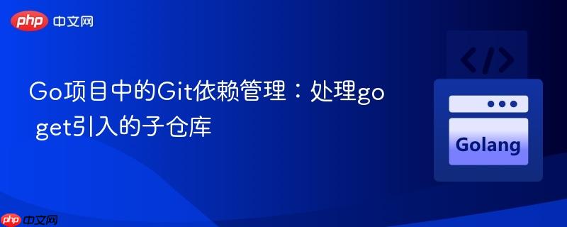 Go项目中的Git依赖管理:处理go get引入的子仓库