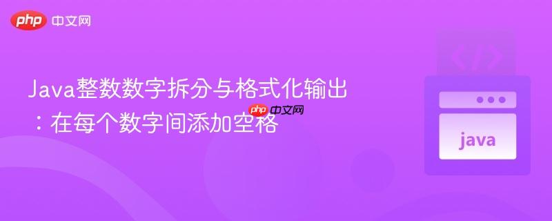 Java整数数字拆分与格式化输出：在每个数字间添加空格