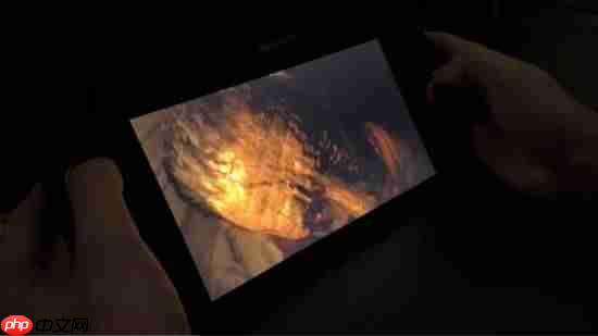 Switch2掌机玩《生化危机9》实机：画面降级但流畅