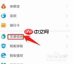 如何在支付宝点亮个人信息13颗星星