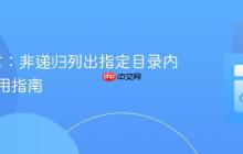Go语言：非递归列出指定目录内容的实用指南