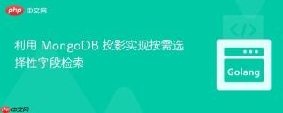 利用 MongoDB 投影实现按需选择性字段检索