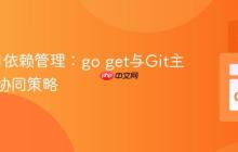 Go项目依赖管理：go get与Git主仓库的协同策略