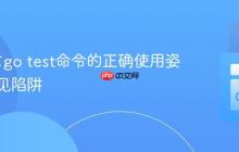 Go语言go test命令的正确使用姿势与常见陷阱