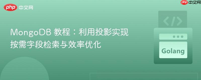 MongoDB 教程:利用投影实现按需字段检索与效率优化