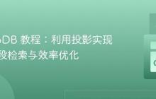 MongoDB 教程：利用投影实现按需字段检索与效率优化