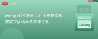 MongoDB 教程：利用投影实现按需字段检索与效率优化