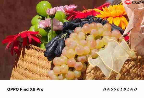OPPO Find X9 Pro核心配置曝光：天玑9500+2亿潜望