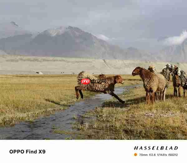 OPPO Find X9 Pro核心配置曝光：天玑9500+2亿潜望