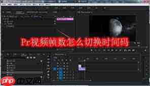 Pr如何将视频帧数切换为时间码