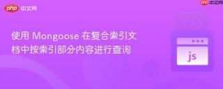 使用 Mongoose 在复合索引文档中按索引部分内容进行查询