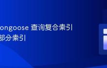 使用 Mongoose 查询复合索引文档的部分索引