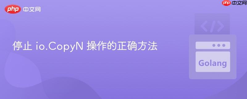 停止 io.CopyN 操作的正确方法