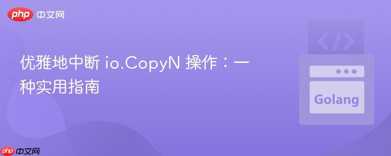 优雅地中断 io.CopyN 操作:一种实用指南