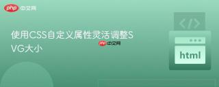 使用CSS自定义属性灵活调整SVG大小