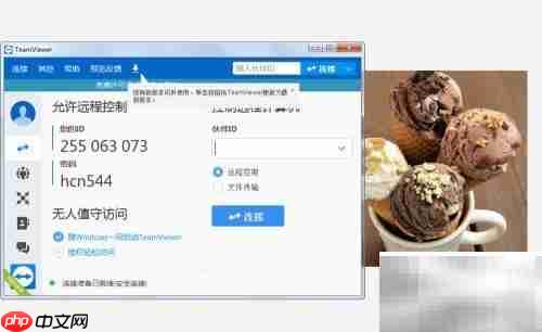 如何设置TeamViewer接收内测版