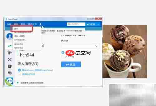 如何设置TeamViewer接收内测版