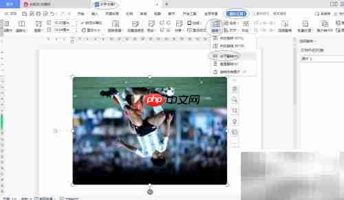 WPS文字中图片水平旋转方法