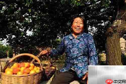 哺乳期可以吃杏吗?