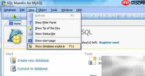 Maestro生成函数定义指南
