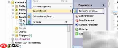 Maestro生成函数定义指南