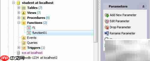 Maestro生成函数定义指南