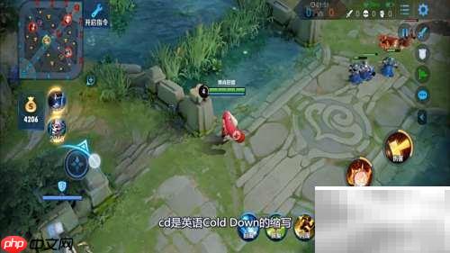 王者榮耀CD是什么意思