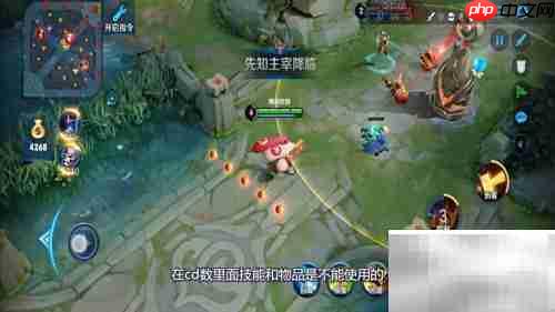 王者荣耀CD是什么意思