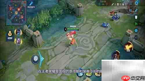 王者荣耀CD是什么意思